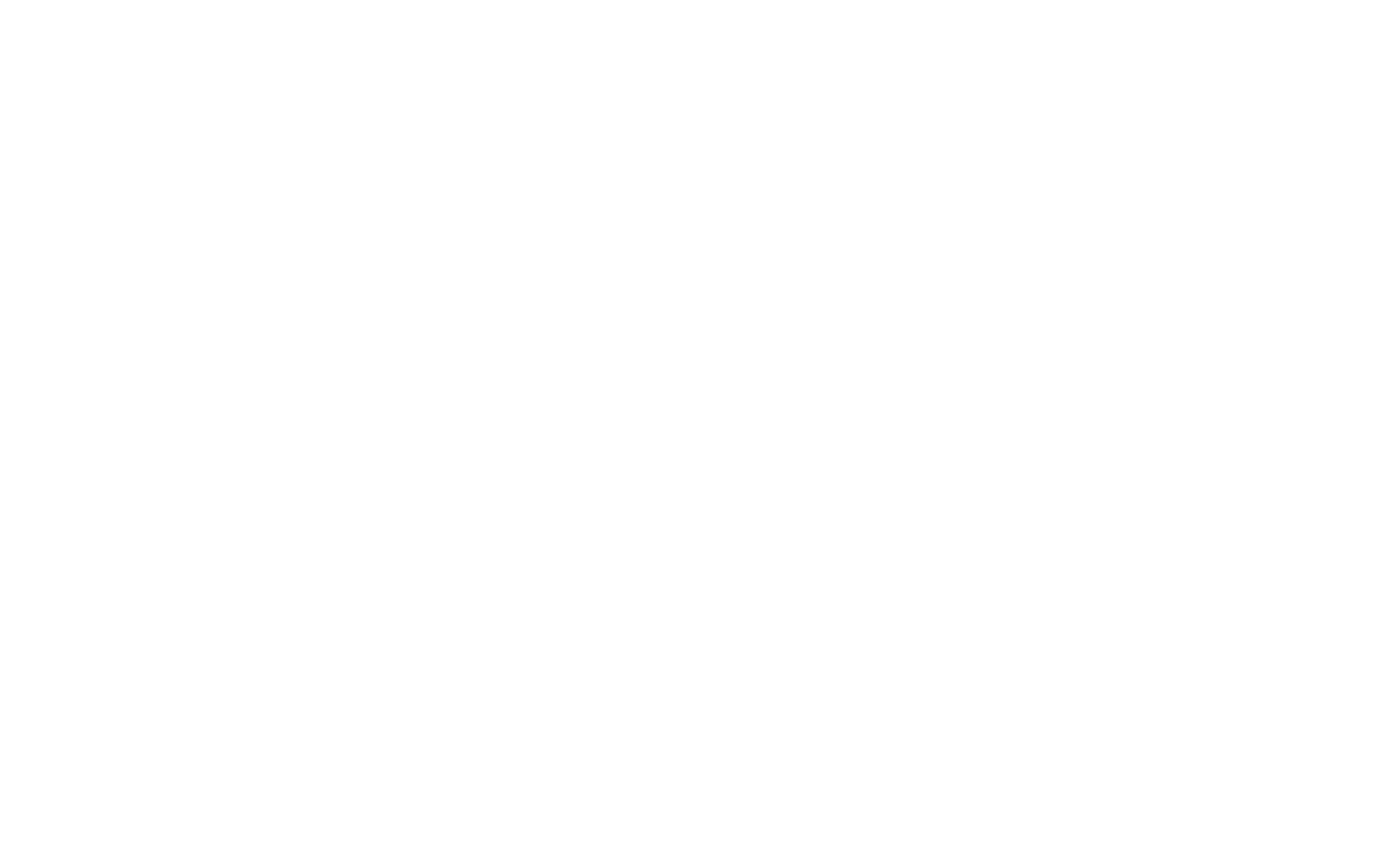 VX4 Overland